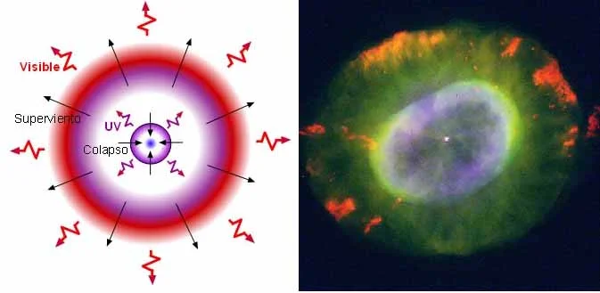 Understanding White Dwarfs: Stellar Remnants in the Cosmos