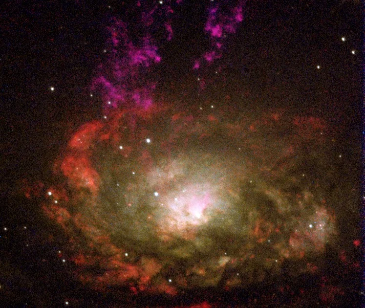 Precise Measurement of Chemical Abundances Near a Supermassive Black Hole