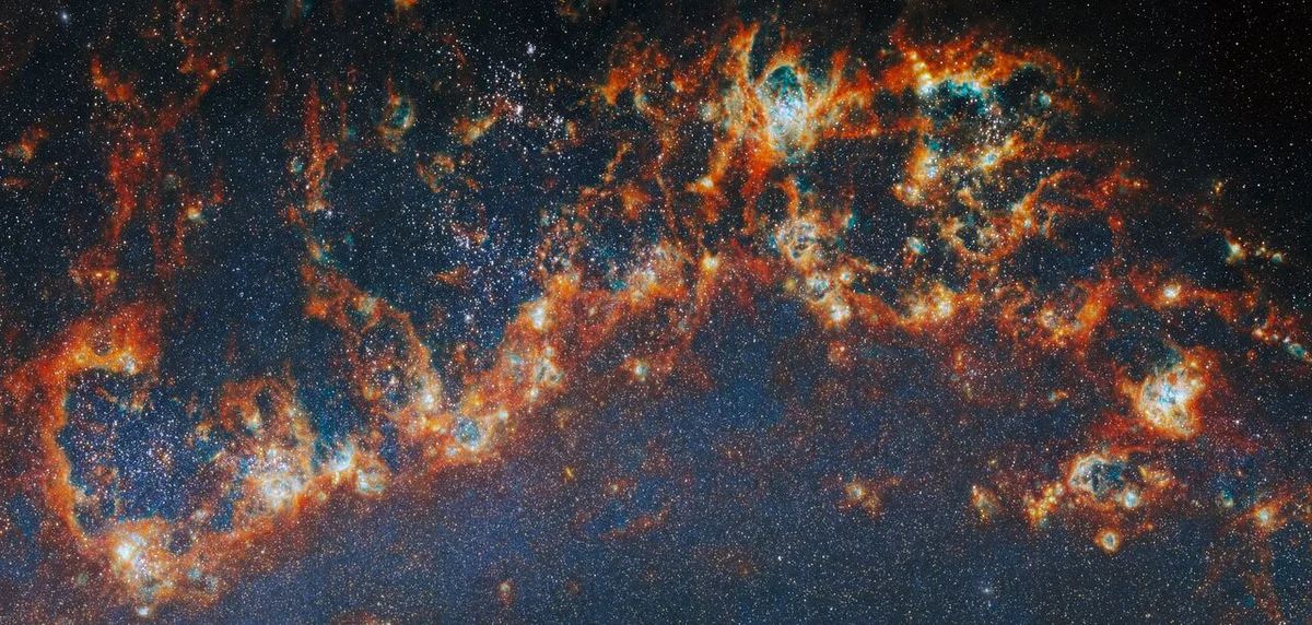 Young Star Clusters in Focus of Nearby Galaxies