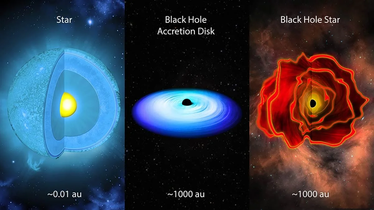 Discovery of a Unique Black Hole Star by JWST: MoM-BH*-1