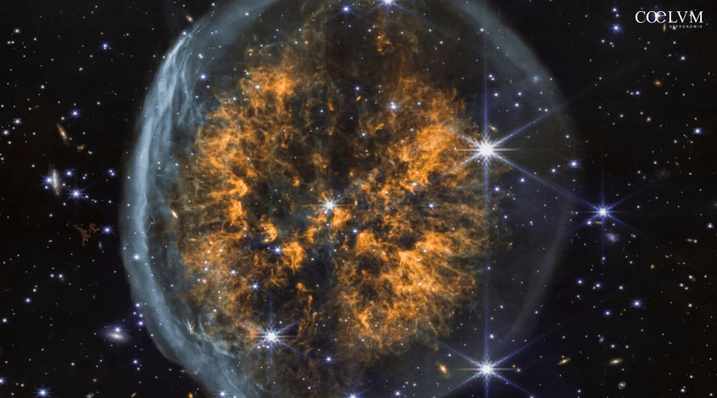 Axial Tomography of a Cosmic Brain