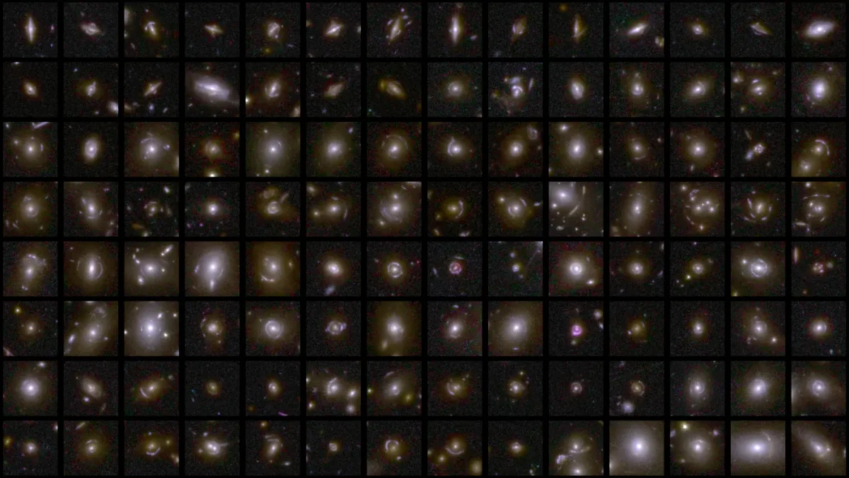 Public Participation in the Search for Gravitational Lenses - Spreewald-Spechtler