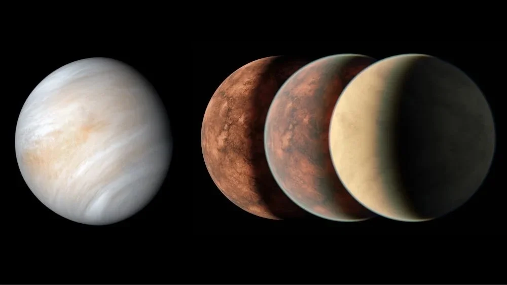 The Imbalance of the Carbon Cycle: A Key Factor for the Habitability of Terrestrial Planets