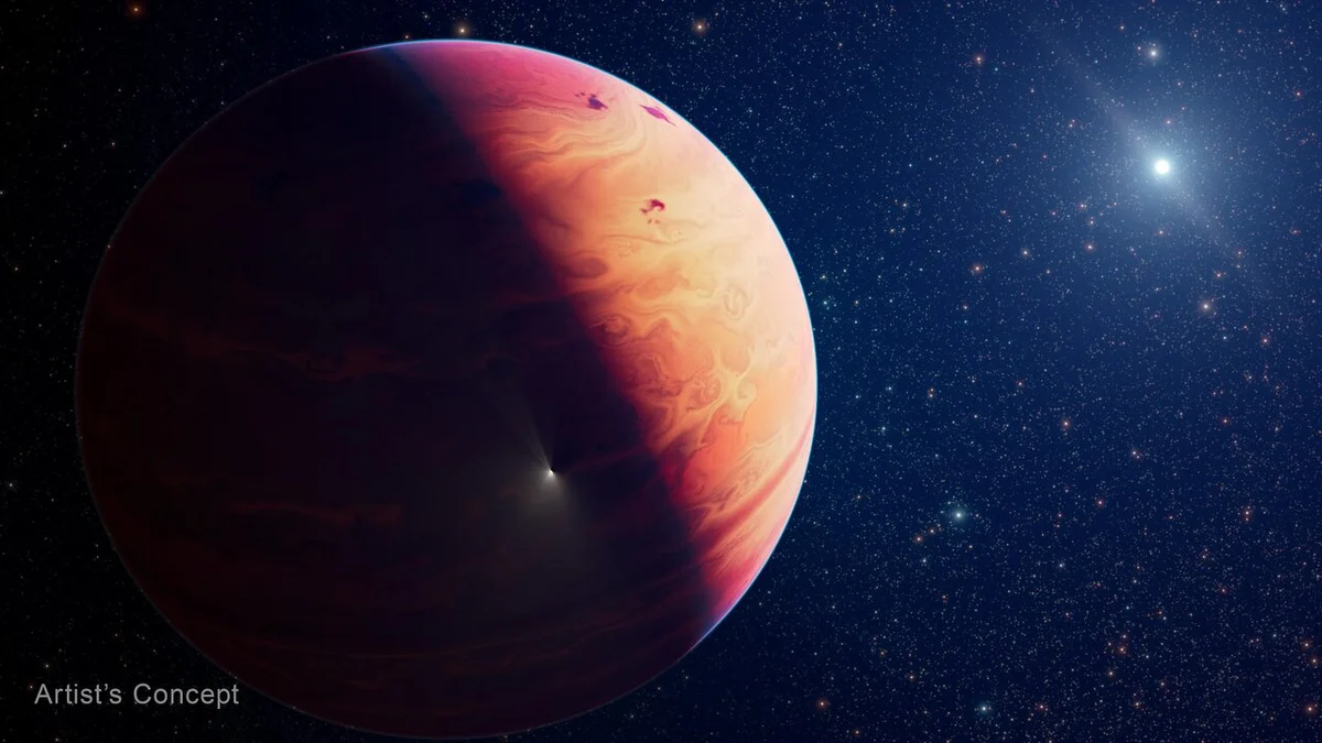 29 Cygni b or How Massive Celestial Bodies Form - Spreewald-Spechtler