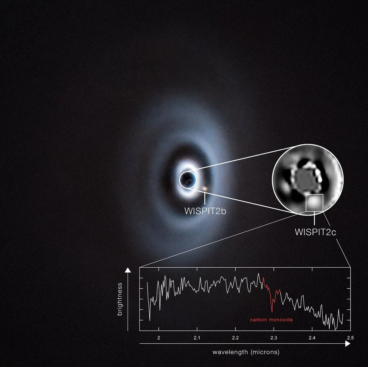 A Look into a Possible Early Solar System - Spreewald-Spechtler
