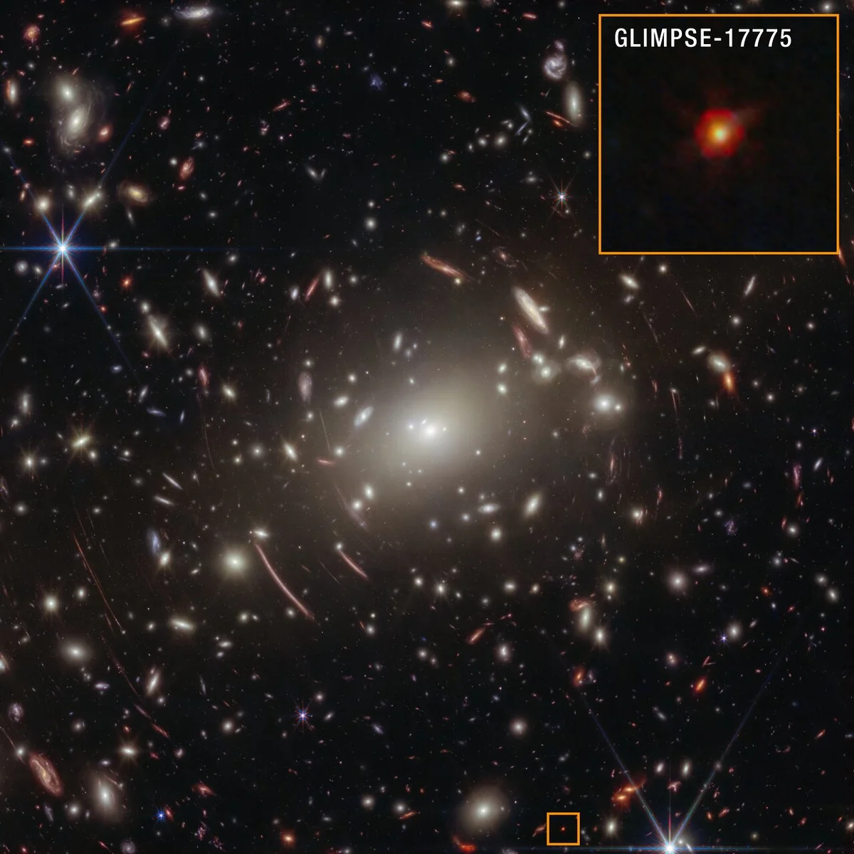 Spectral Analysis Illuminates the Mystery of the "Little Red Dots"