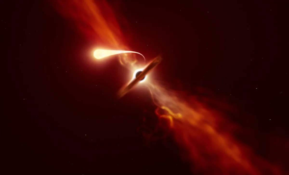 A Star Consumed by a Black Hole in the Eridanus Constellation