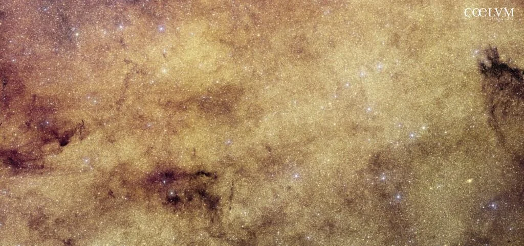 The VIS Instrument of Euclid Captures Millions of Stars in the Galactic Center