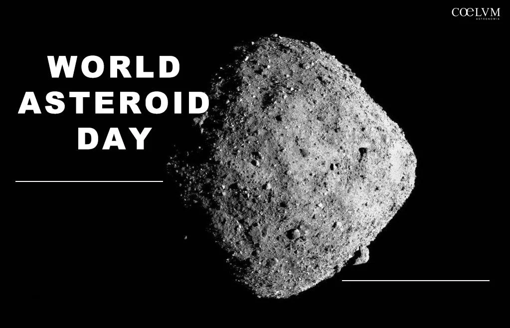 A Day for Asteroids
