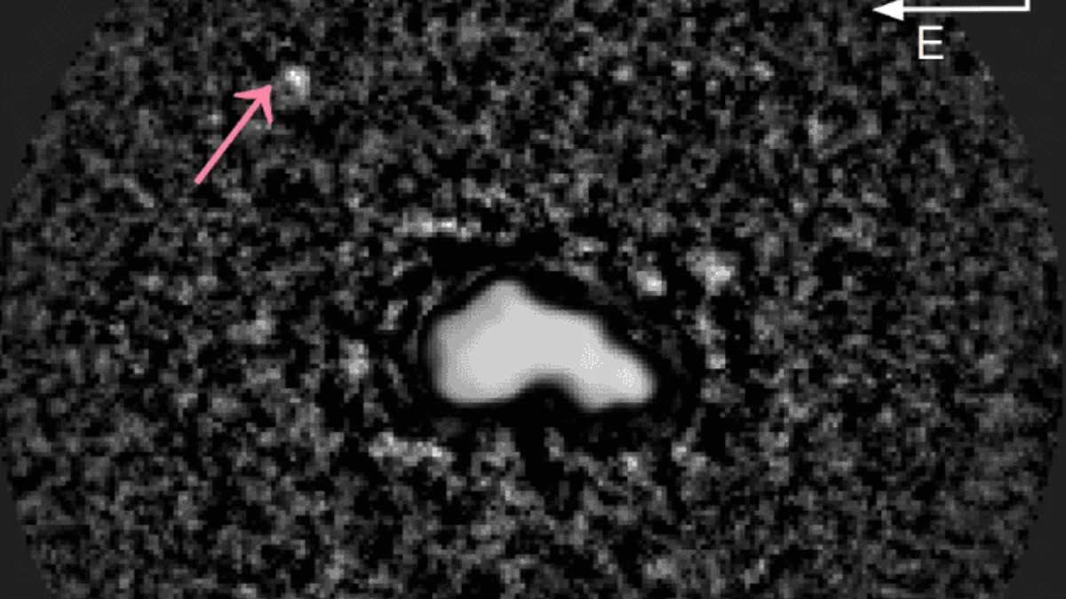 Asteroid (44) Nysa: A Potential Three-Lobed Structure Revealed