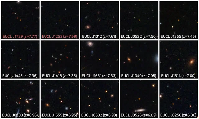 Discovery of 31 Extremely Distant Quasars by Euclid